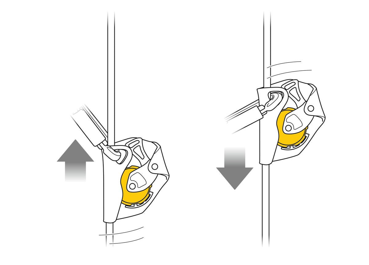 Petzl - Auffanggerät Asap - Wicki Forst AG