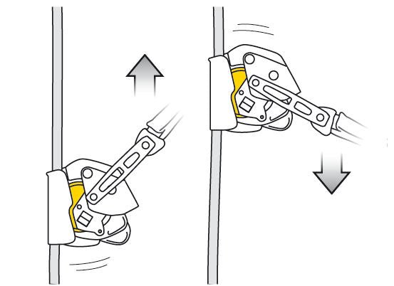 Petzl - Auffanggerät Asap® Lock - Wicki Forst AG
