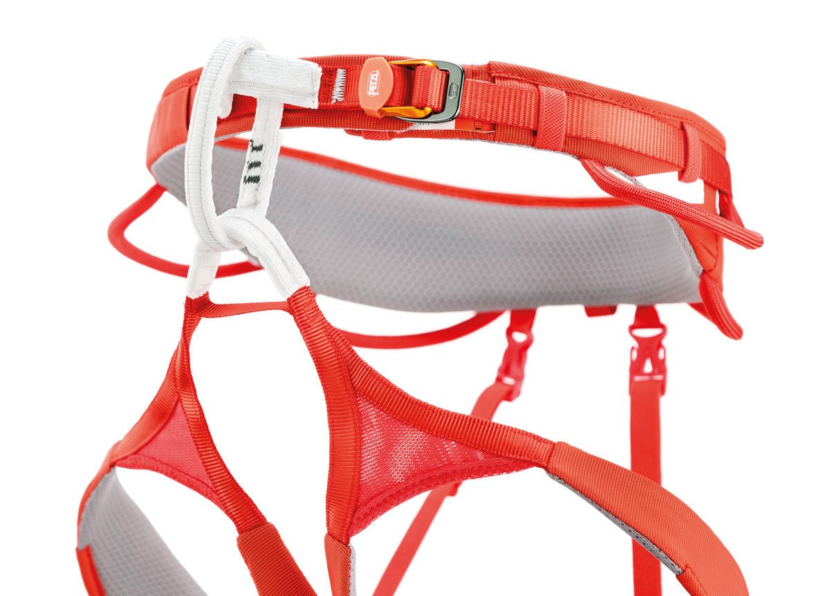 Petzl - Gurt Hirundos - Wicki Forst AG