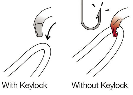 Petzl - Karabiner OK - Wicki Forst AG