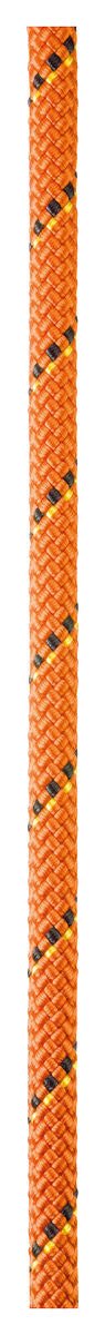 Petzl - Seil Parallel 10,5 mm - Wicki Forst AG