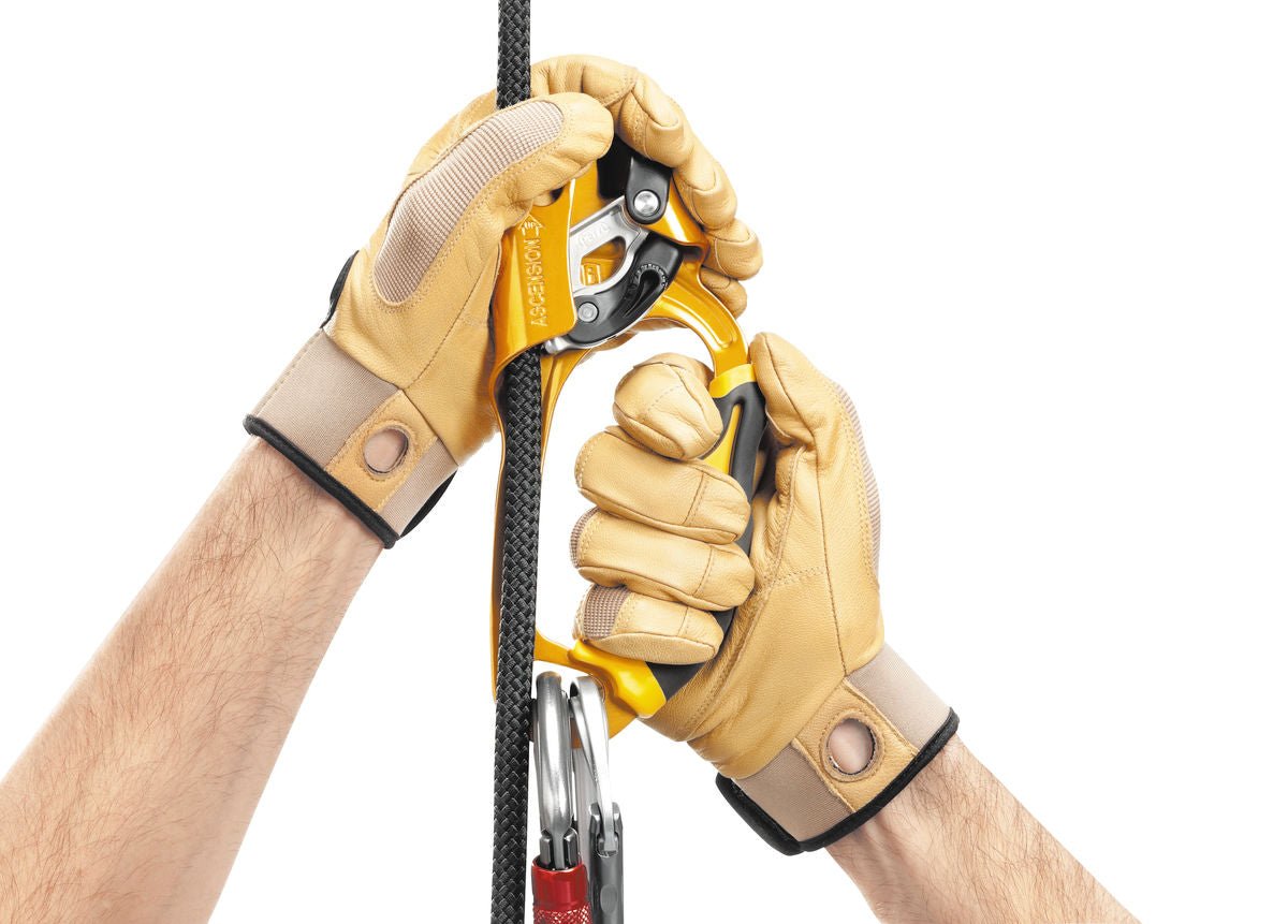 Petzl - Steigklemme Ascension - Wicki Forst AG