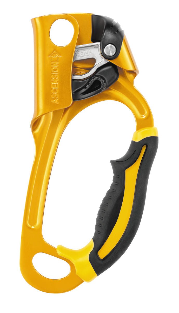 Petzl - Steigklemme Ascension - Wicki Forst AG